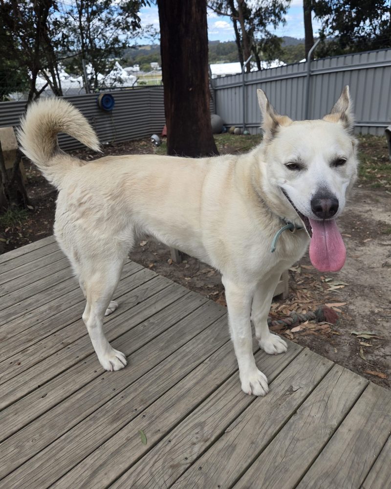 Dakoda side on standing outside