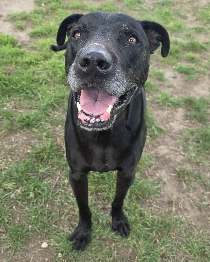 Diesel standing outside with a big smile