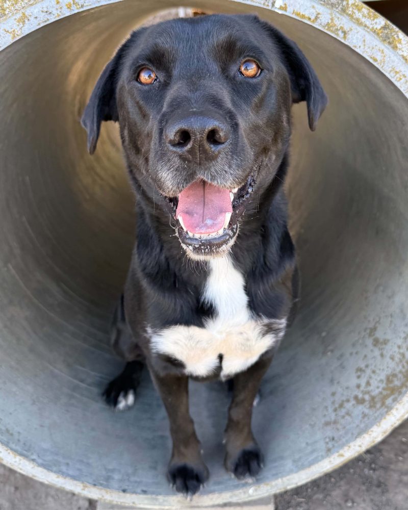Flash sitting in a tunnel with smile on his face