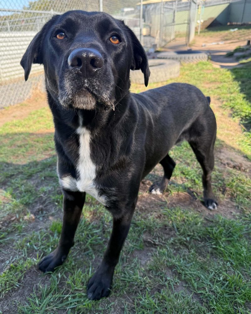 Flash standing outside looking serious