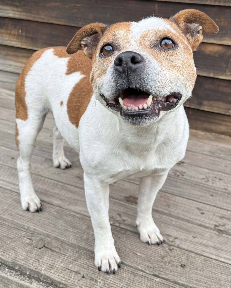 Georgie standing on the deck with a smile