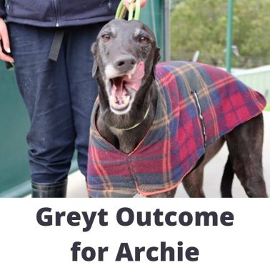 Greyt Outcome for Archie