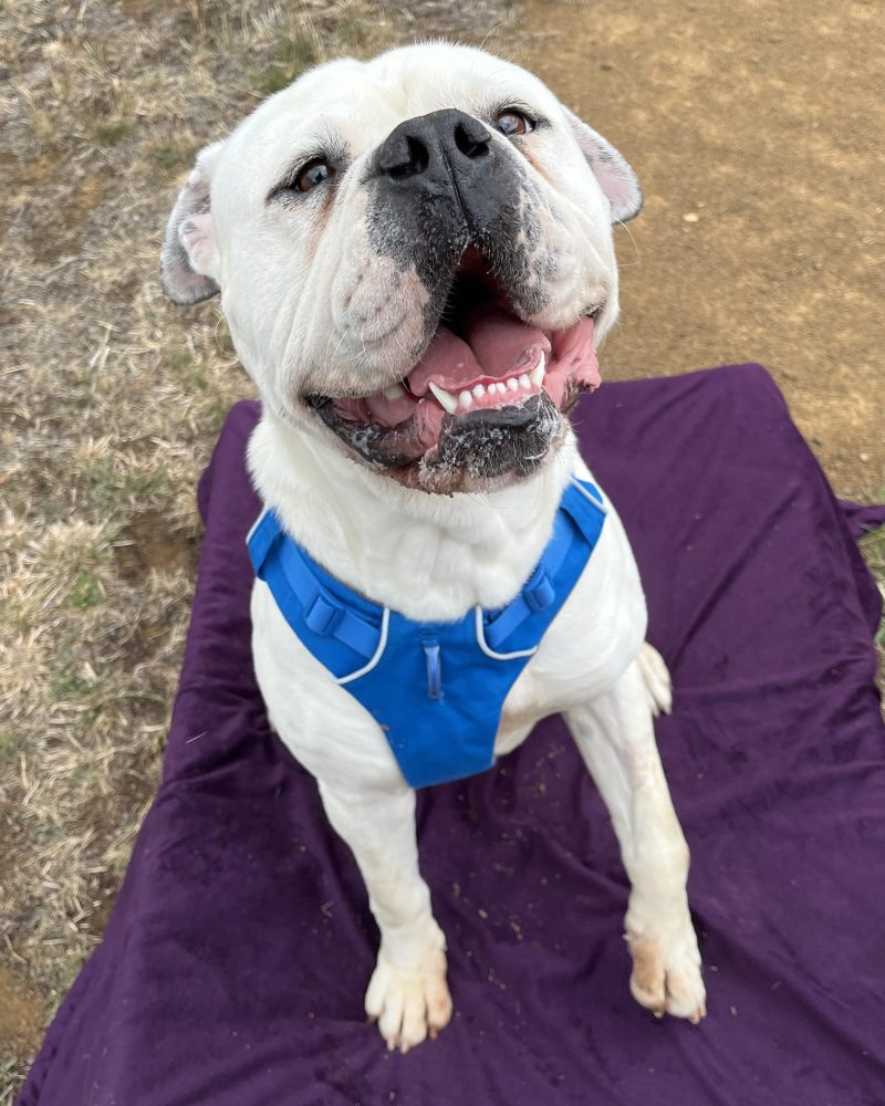 Benjamin sitting outside smiling for the camera