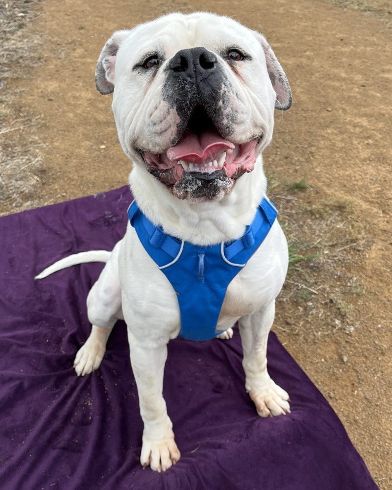 Benjamin sitting outside smiling for the camera