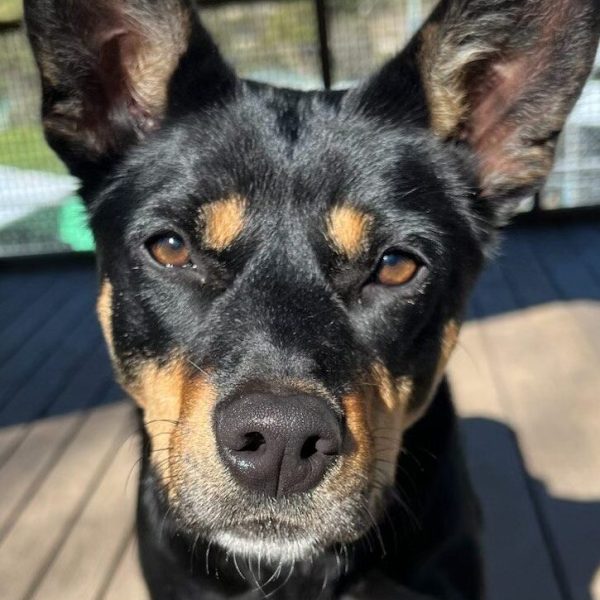 Beautiful Jess outside in the sunshine looking serious close up
