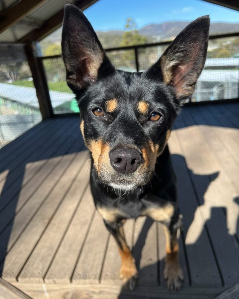 Beautiful Jess outside in the sunshine looking serious