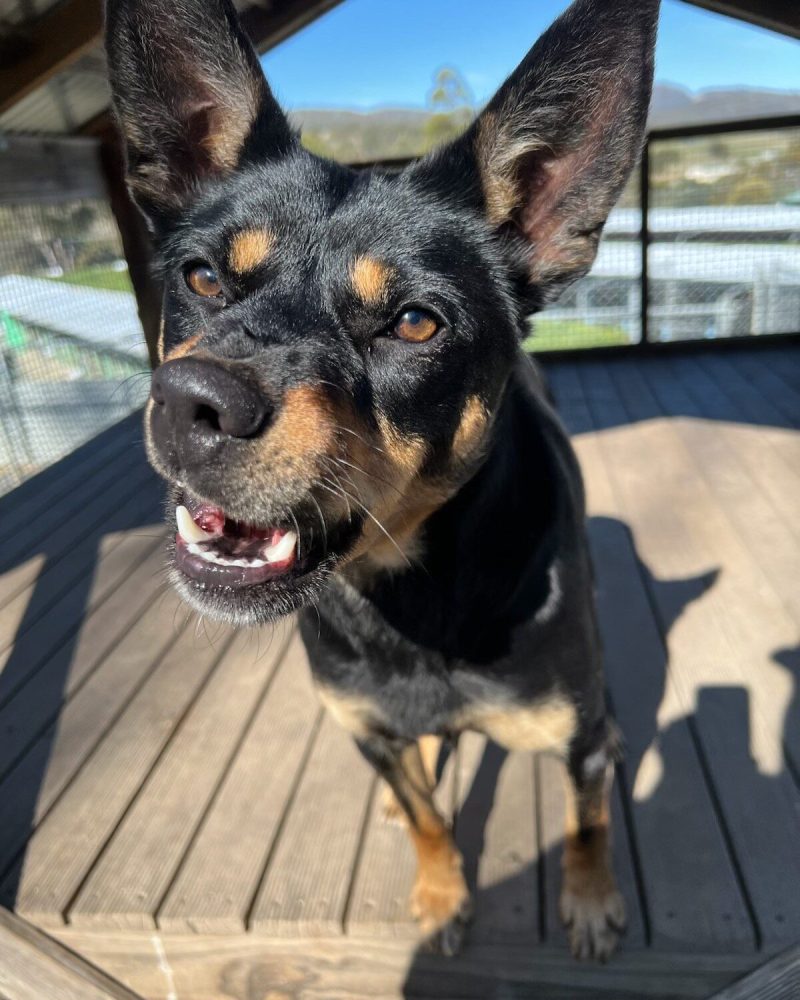 Beautiful Jess pulling a goofy face