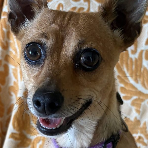 Smiling Jette close up