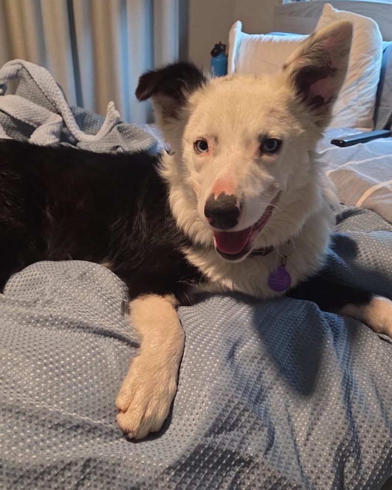 Judd lying on a bed in foster care