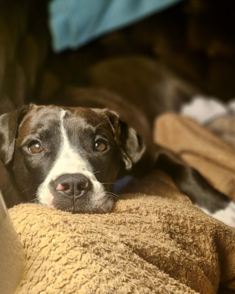 Livingston lying on a bed in foster care