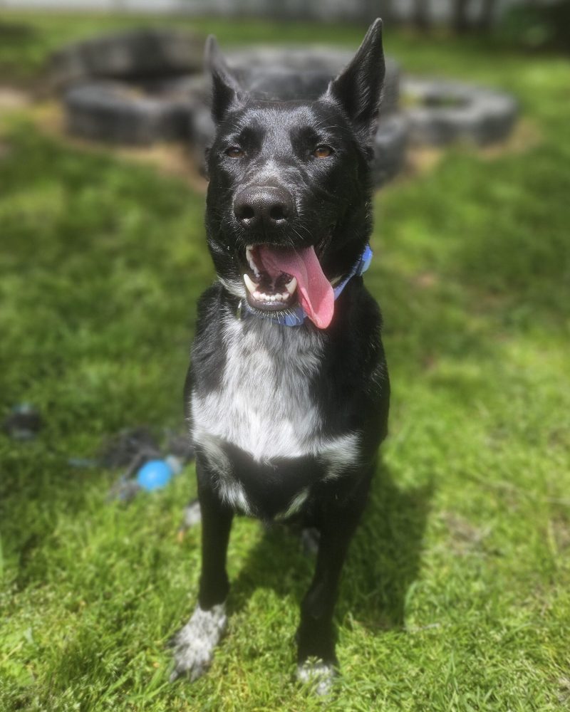 Luna posing for a photo