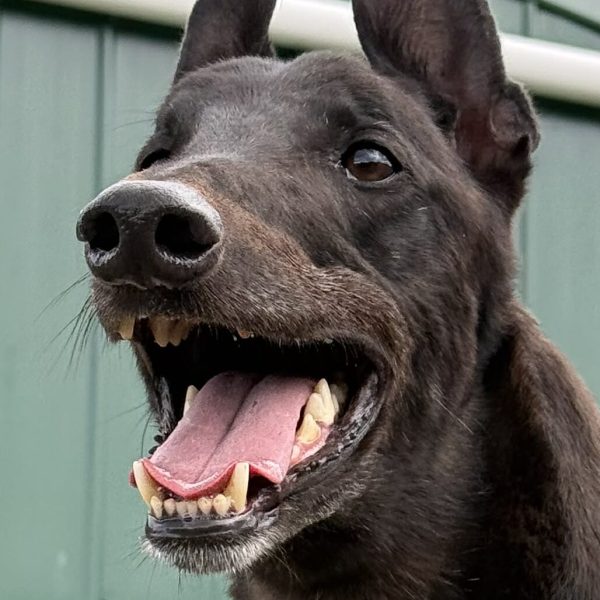 Mate-1-1-e1767067661862