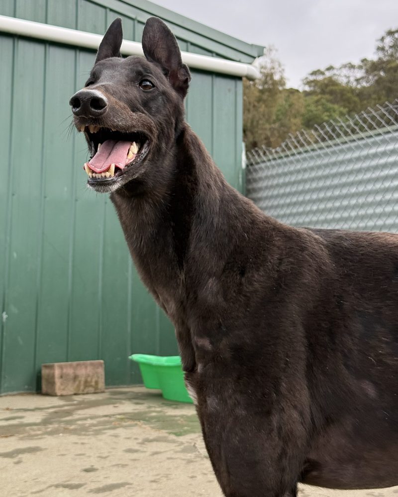 Mate-1-e1767067350662