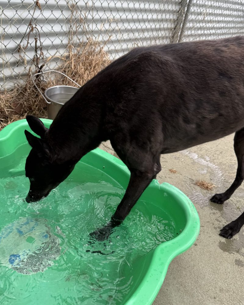 Mate-2-e1767067556868