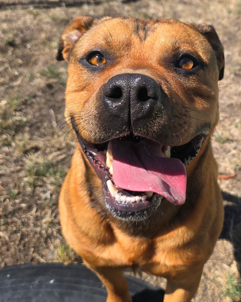 Max outside in the sun