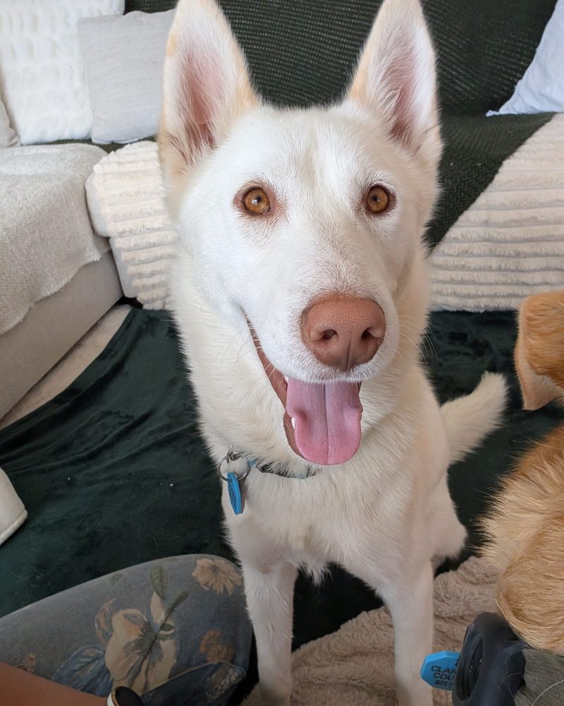 Freya sitting for her photo looking happy