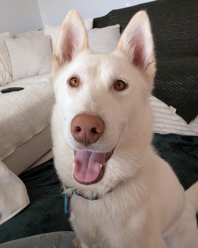 Freya sitting for her photo looking happy