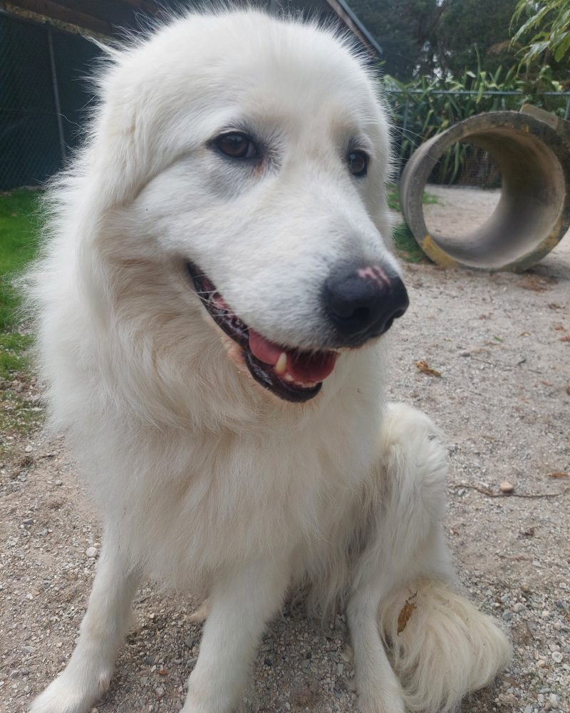 Sitting down ready for a treat
