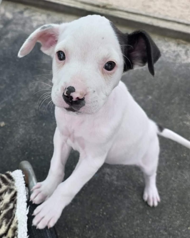 Both Neptune & Earth playing outside