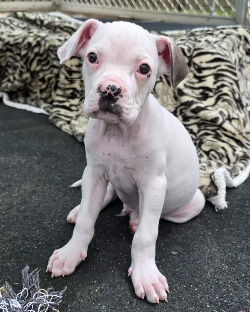 Neptune sitting outside