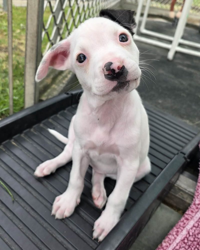 Earth sitting down with a head tilt