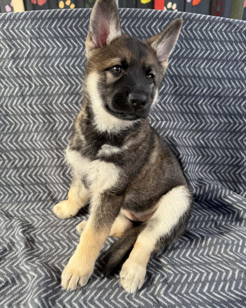 Polly posing for her photos