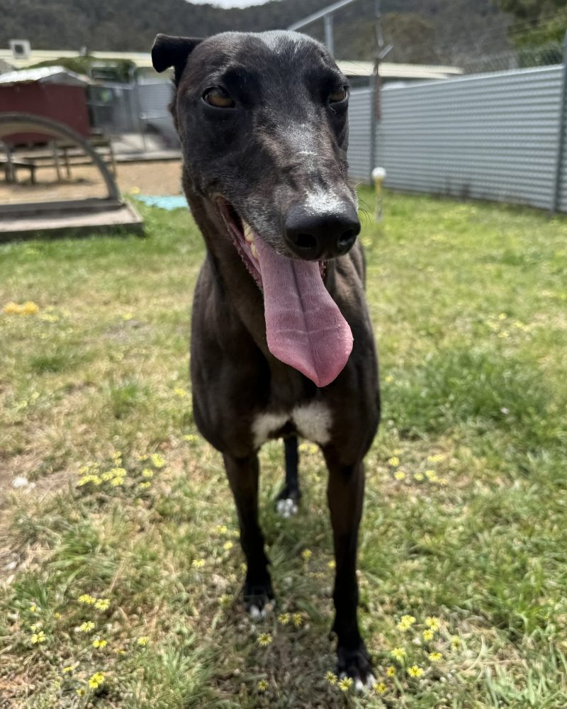 Princess standing outside in the sunshin