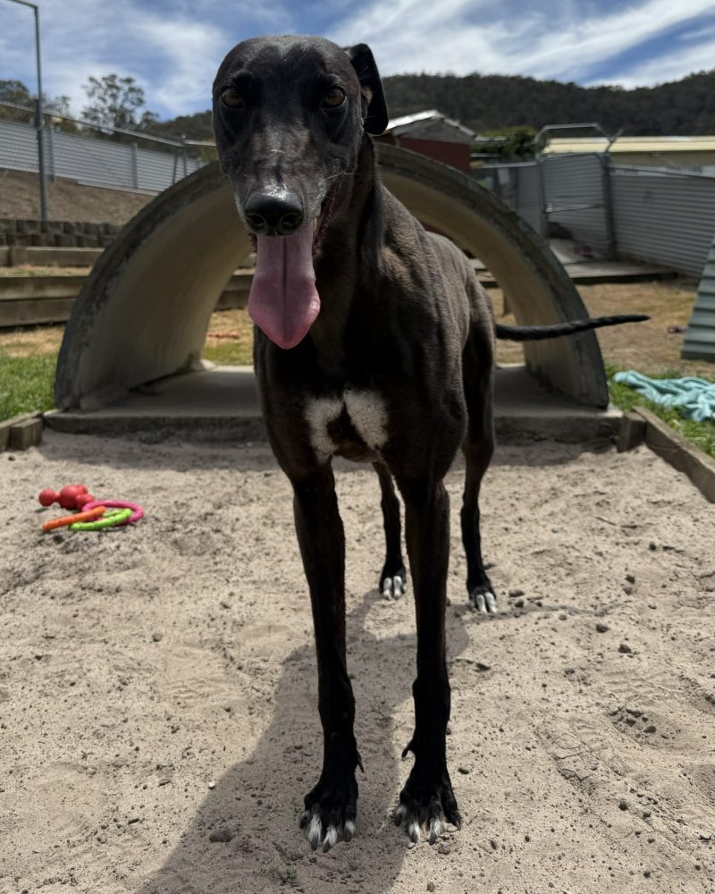 Princess standing outside in the sunshine