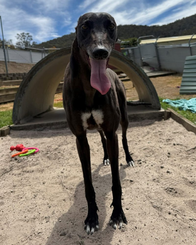 Princess standing outside in the sunshine