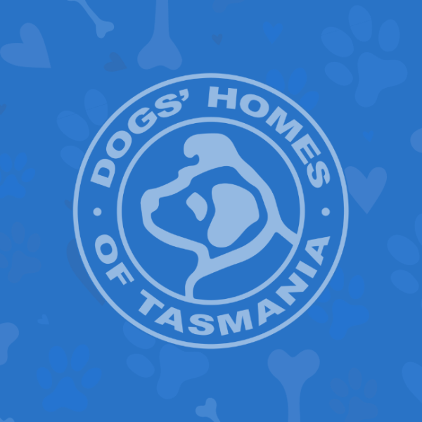 Dogs' Home Dog profile image placeholder