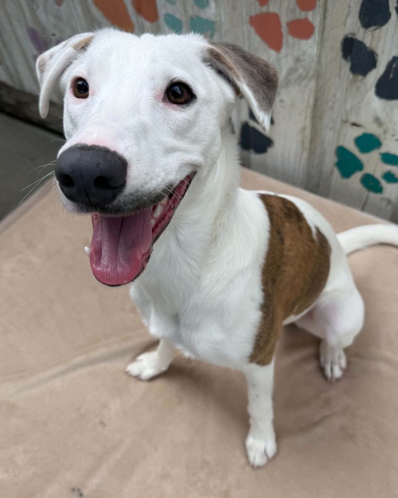 Raymond sitting with a smile on his face