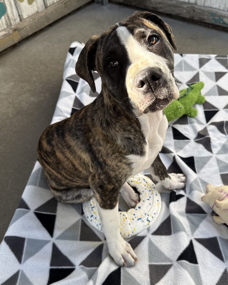 Ria sitting on a blanket looking serious