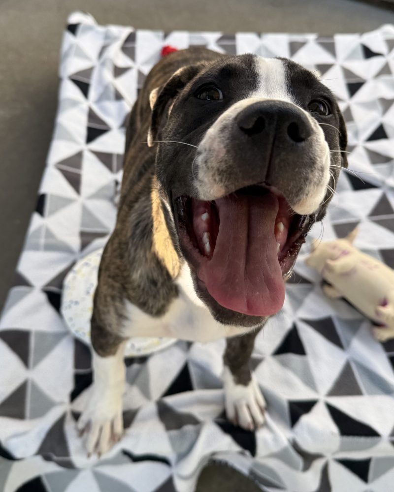 Ria standing with open mouth looking at camera