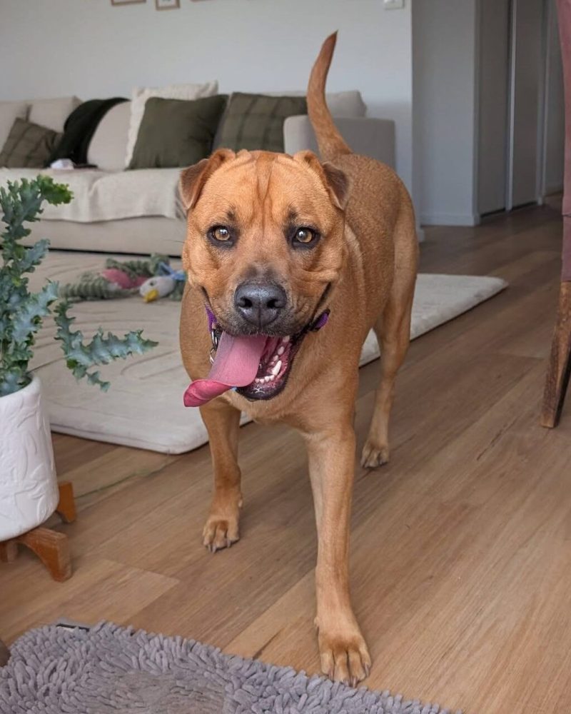 Riley inside walking toward the camera