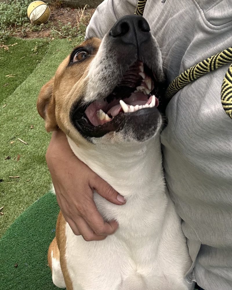 Rupert enjoying a big hug with staff