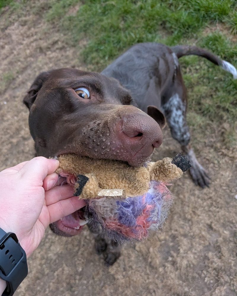 Sally playing with a toy held by a staff member