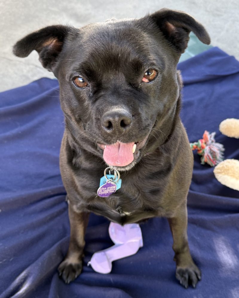 Shadow sitting with a smile