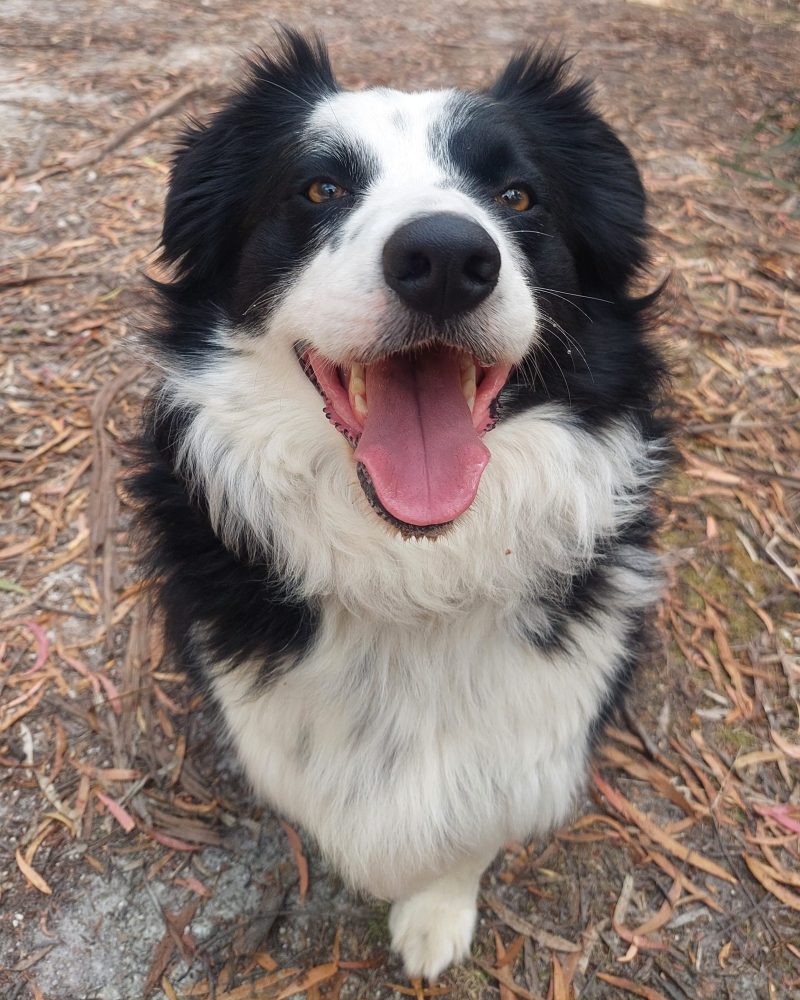 Skye sitting outside looking happy