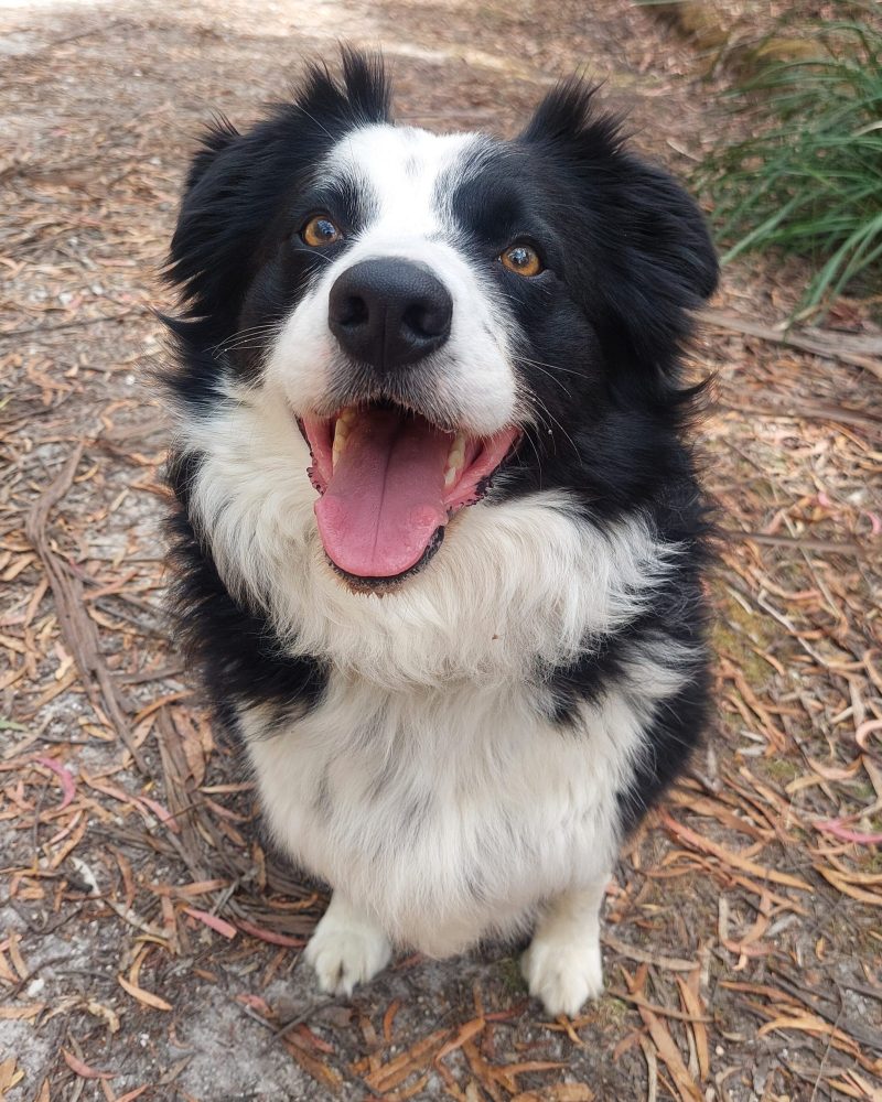 Skye sitting outside looking happy
