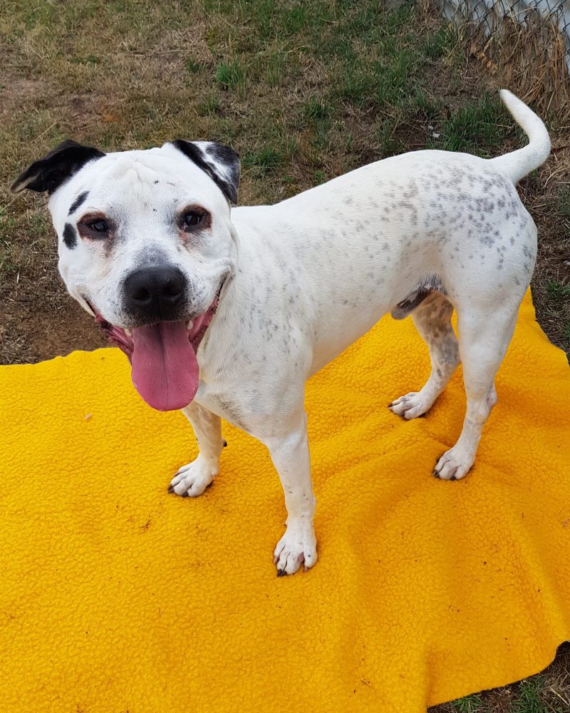 Spotson standing outside looking happy