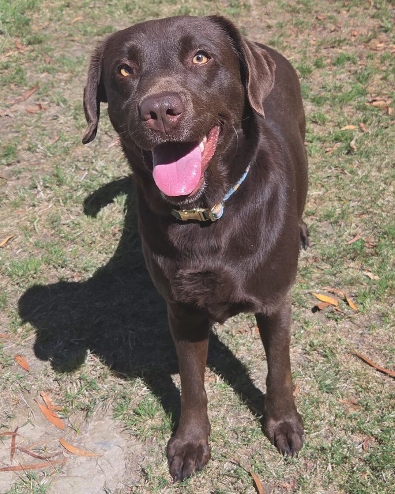 Sunday standing in the exercise yard with a smile