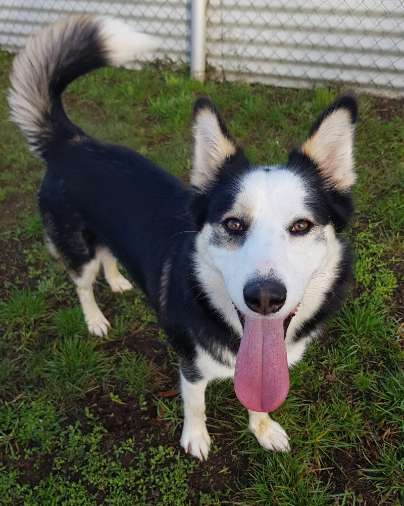 Tilby standing in side profile with big smile