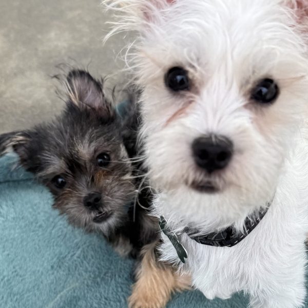 Troy and Chad close up