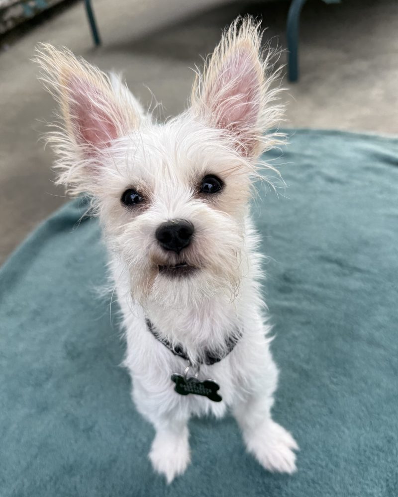 Troy standing on a blanket