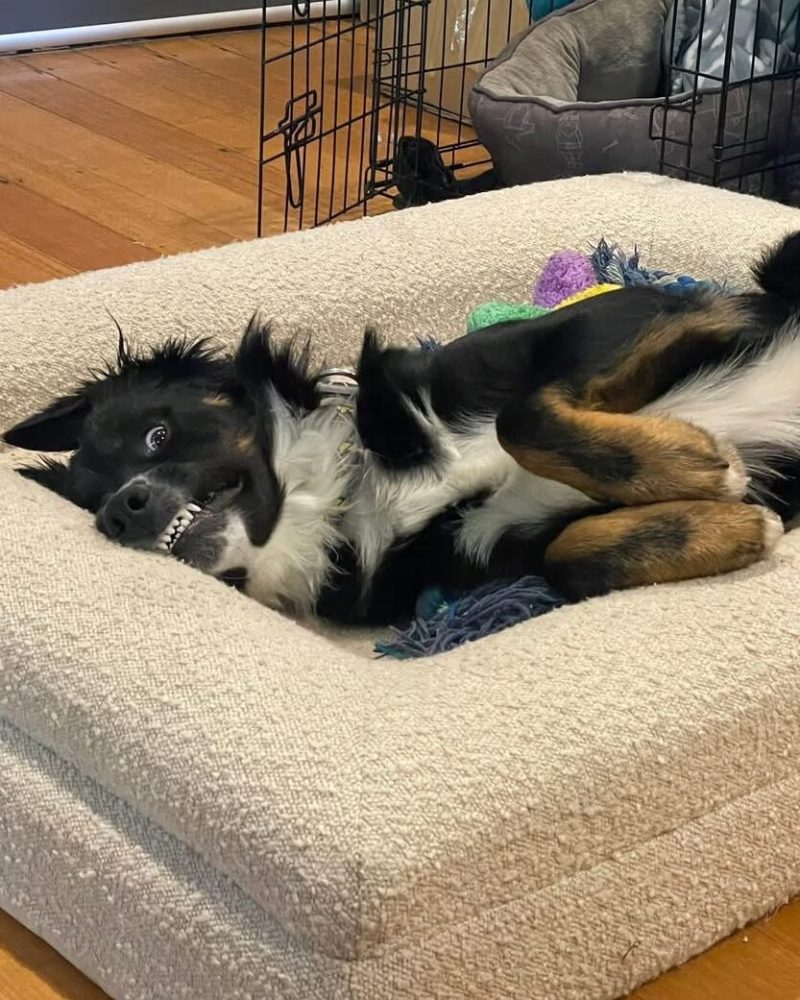 Tucker lying on his bed with cheeky grin