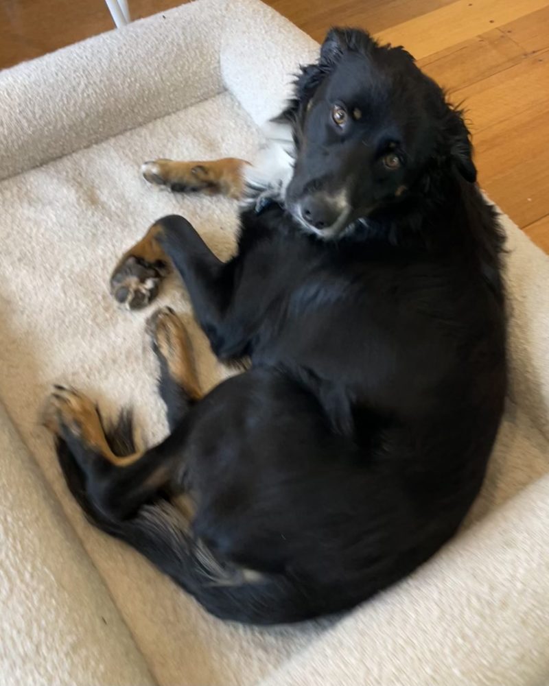 Tucker lying on his bed looking up