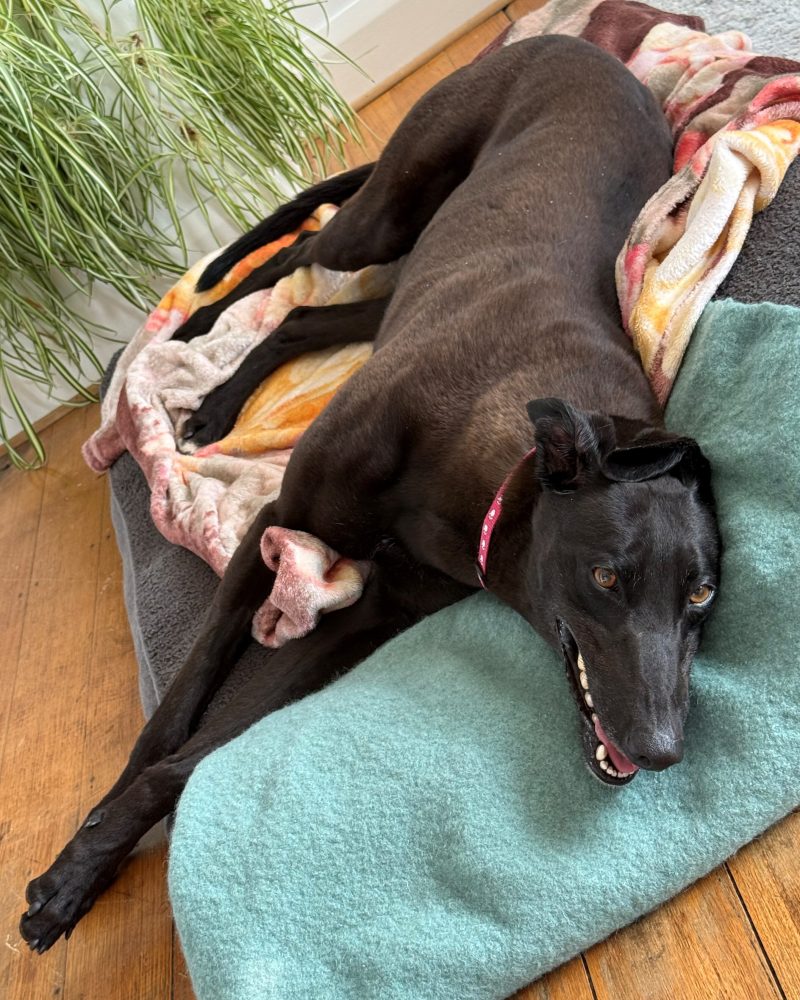 Una lying on her bed looking happy