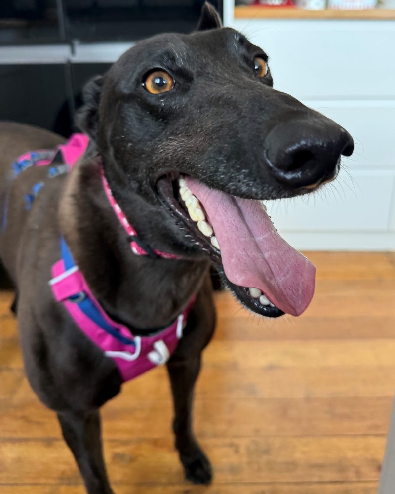 Una looking happy with a big smile