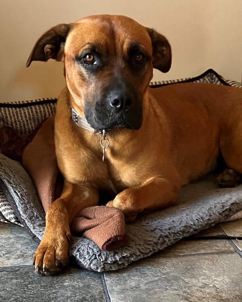 Zalie lying on her bed
