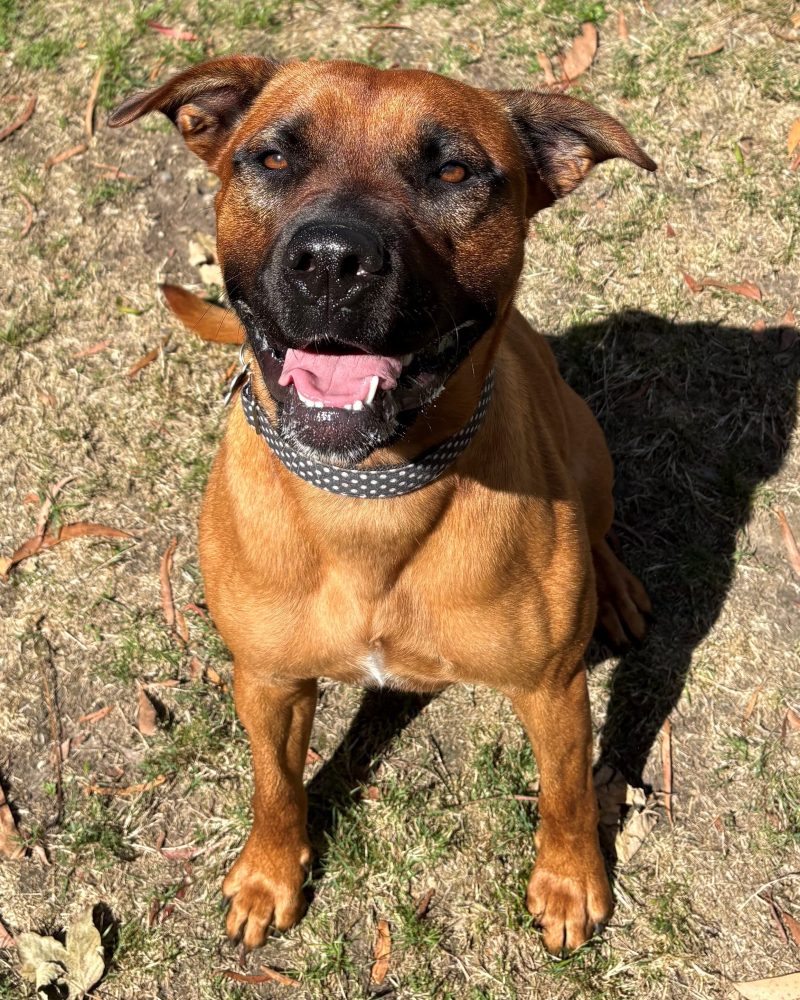 Zalie sitting outside in the sunshine looking happy